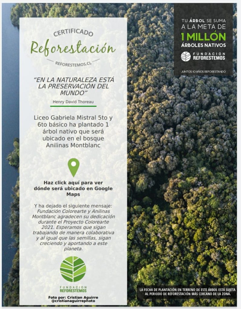 Actividad de reforestación de árboles nativos por estudiantes Gabrielinos.